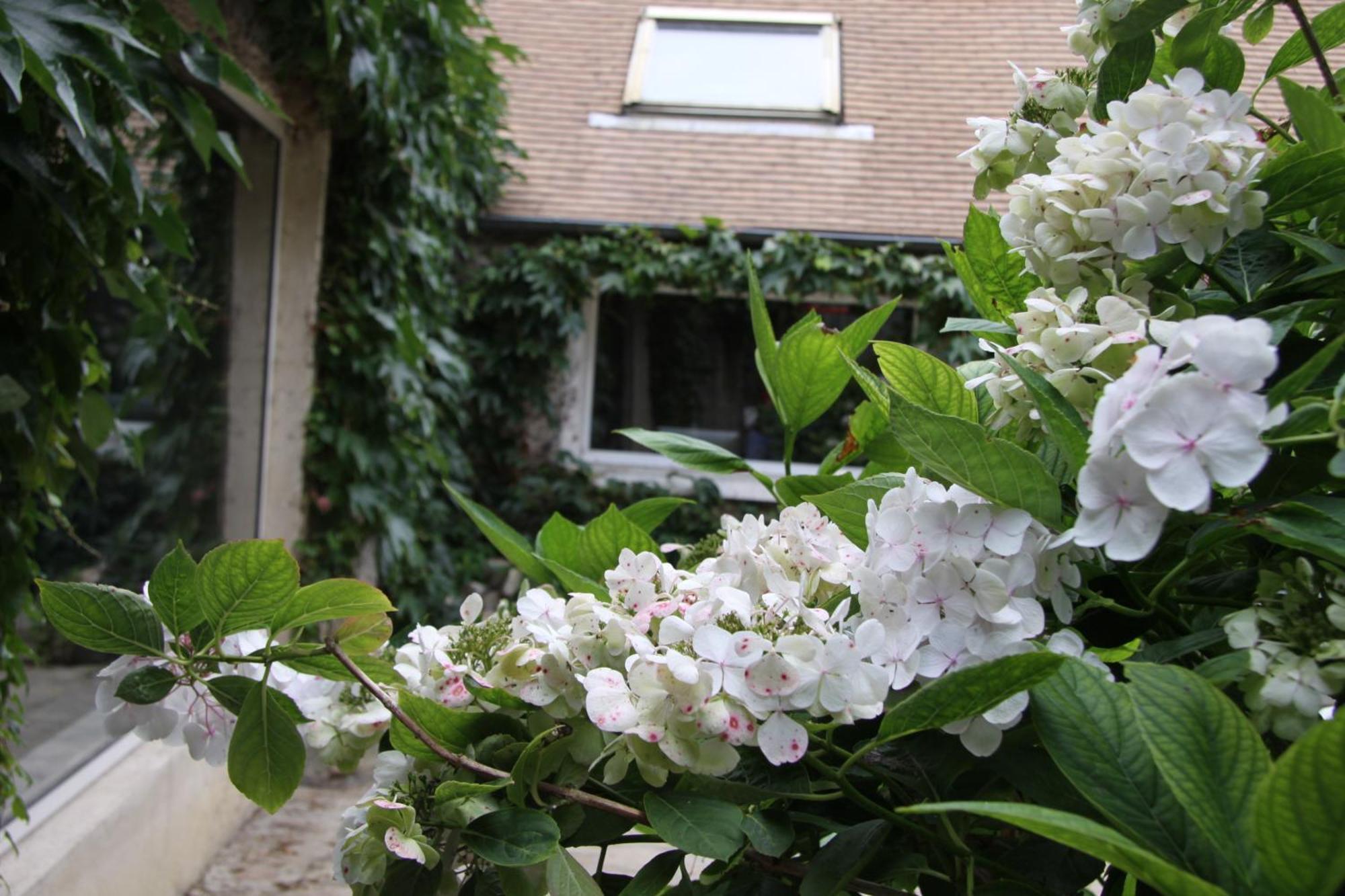 Bed and Breakfast L'Hibernie Rochefort-en-Yvelines Exteriér fotografie
