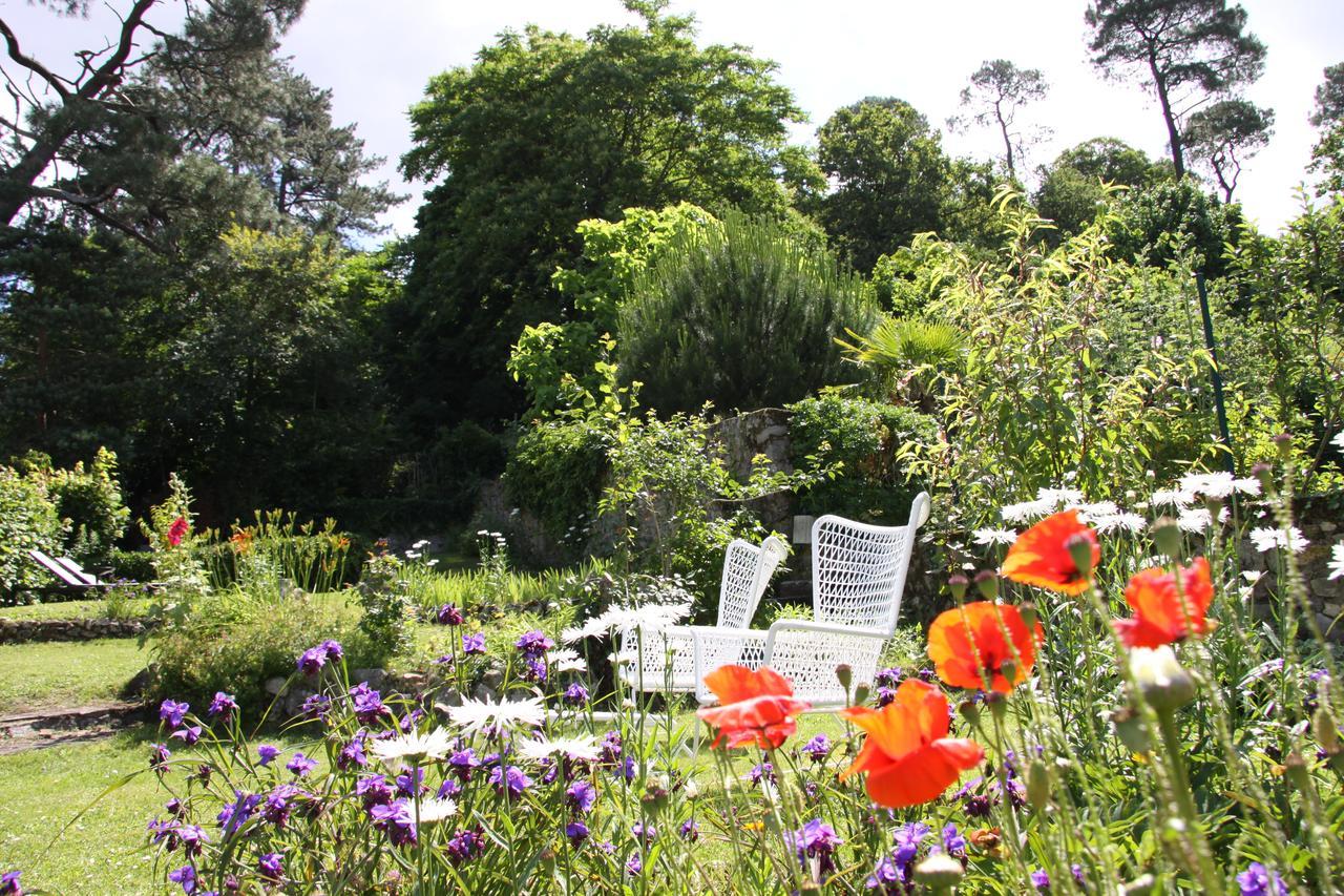 Bed and Breakfast L'Hibernie Rochefort-en-Yvelines Exteriér fotografie